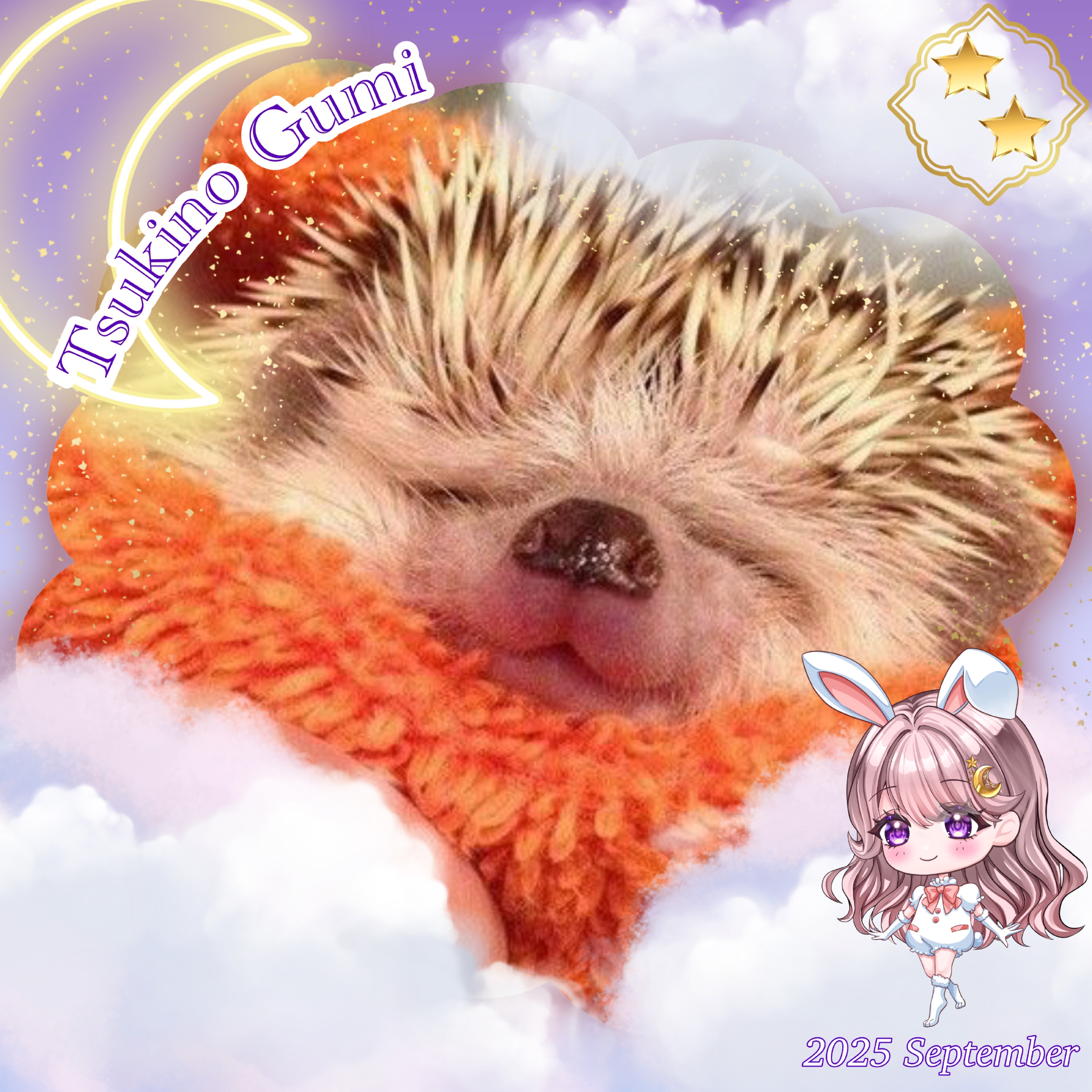 レジェンドさき*･ﾟ