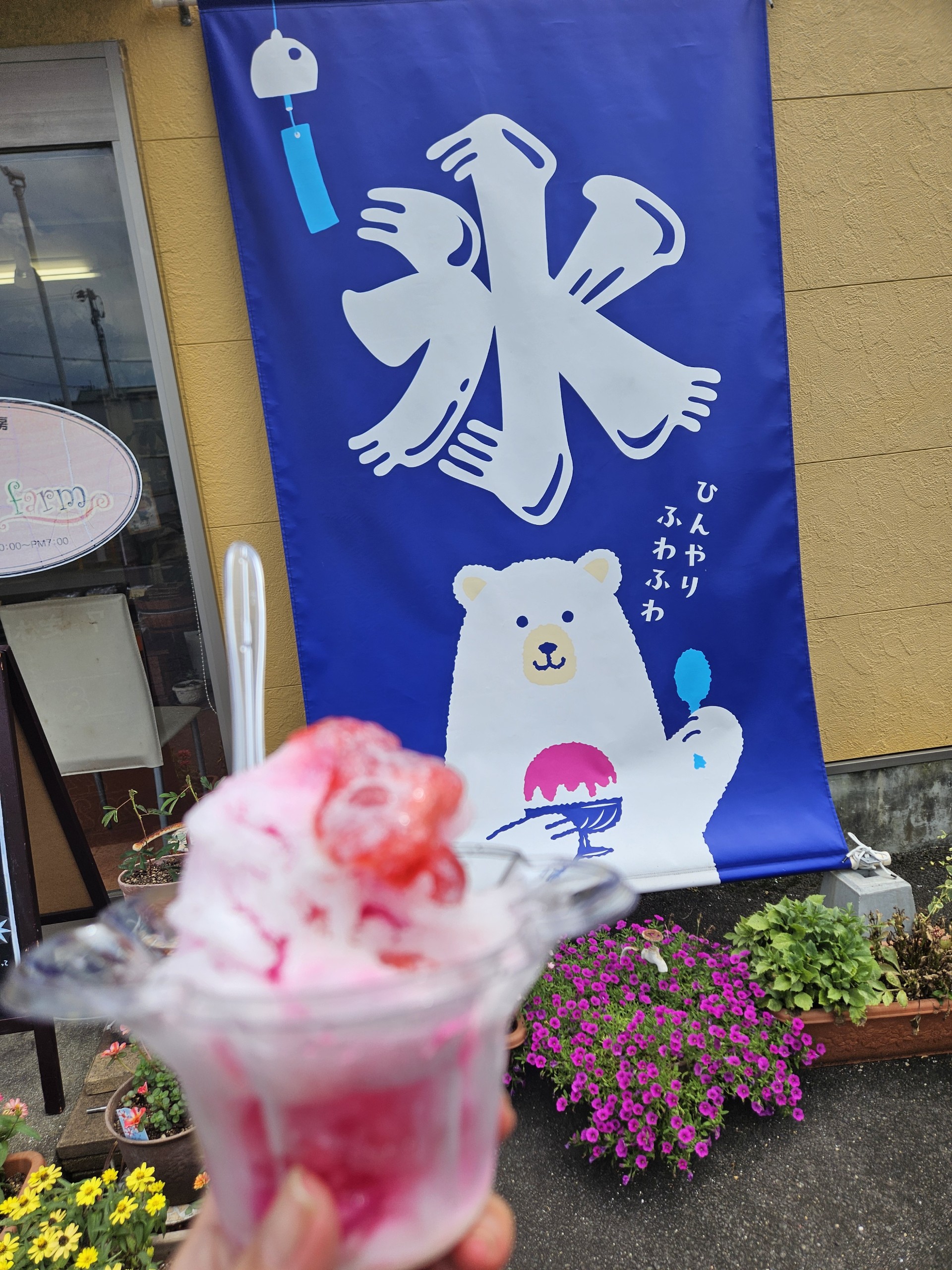 桜香⚪