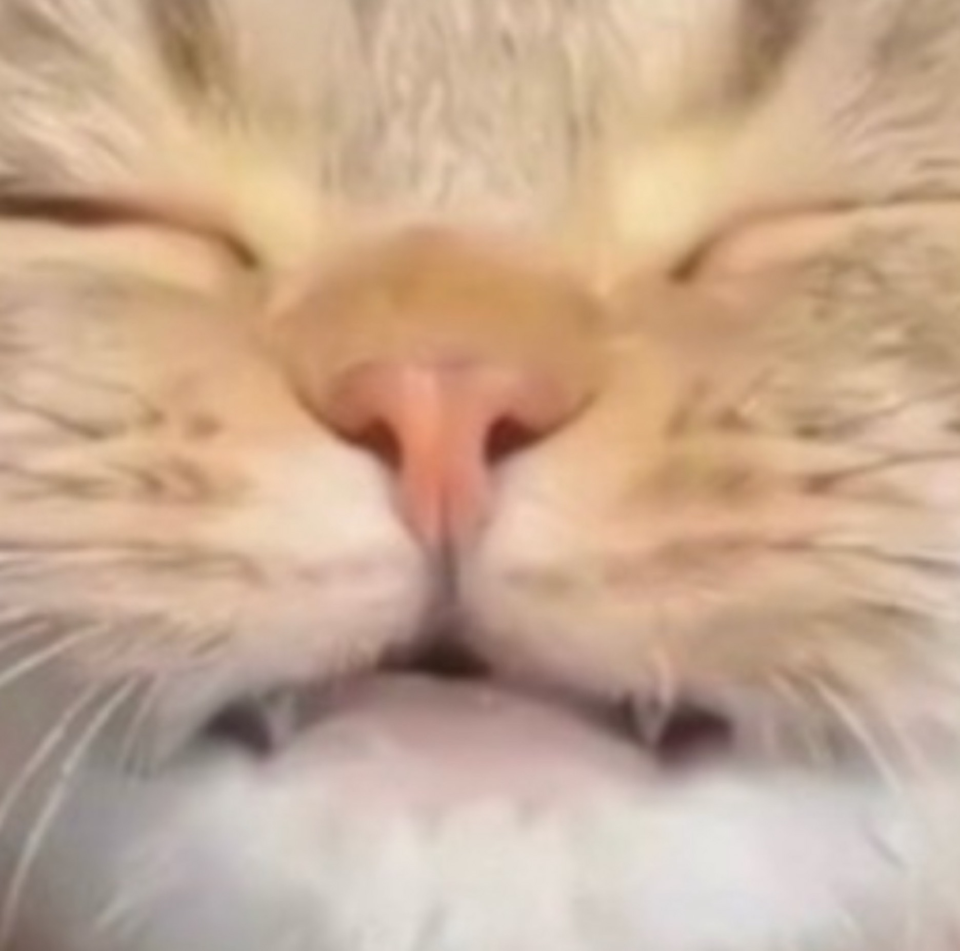 碧@うがぁㅤㅤㅤㅤㅤㅤㅤㅤㅤㅤㅤㅤㅤ 。