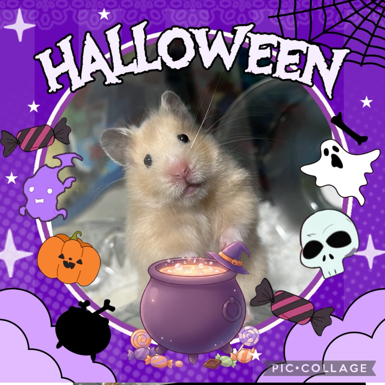 🦔たぁきぃ🦔♡ᨒ³