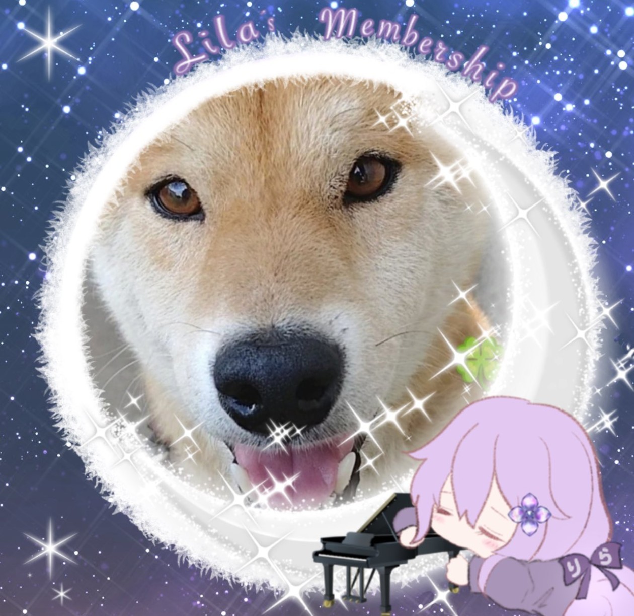 うさまめꕥ