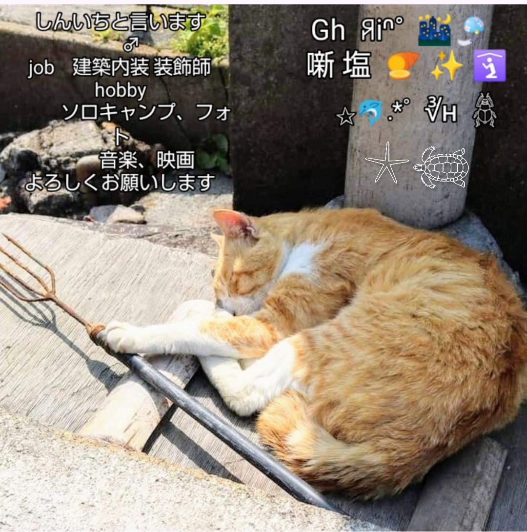 ♆𓃠Sinich/Gh✨️