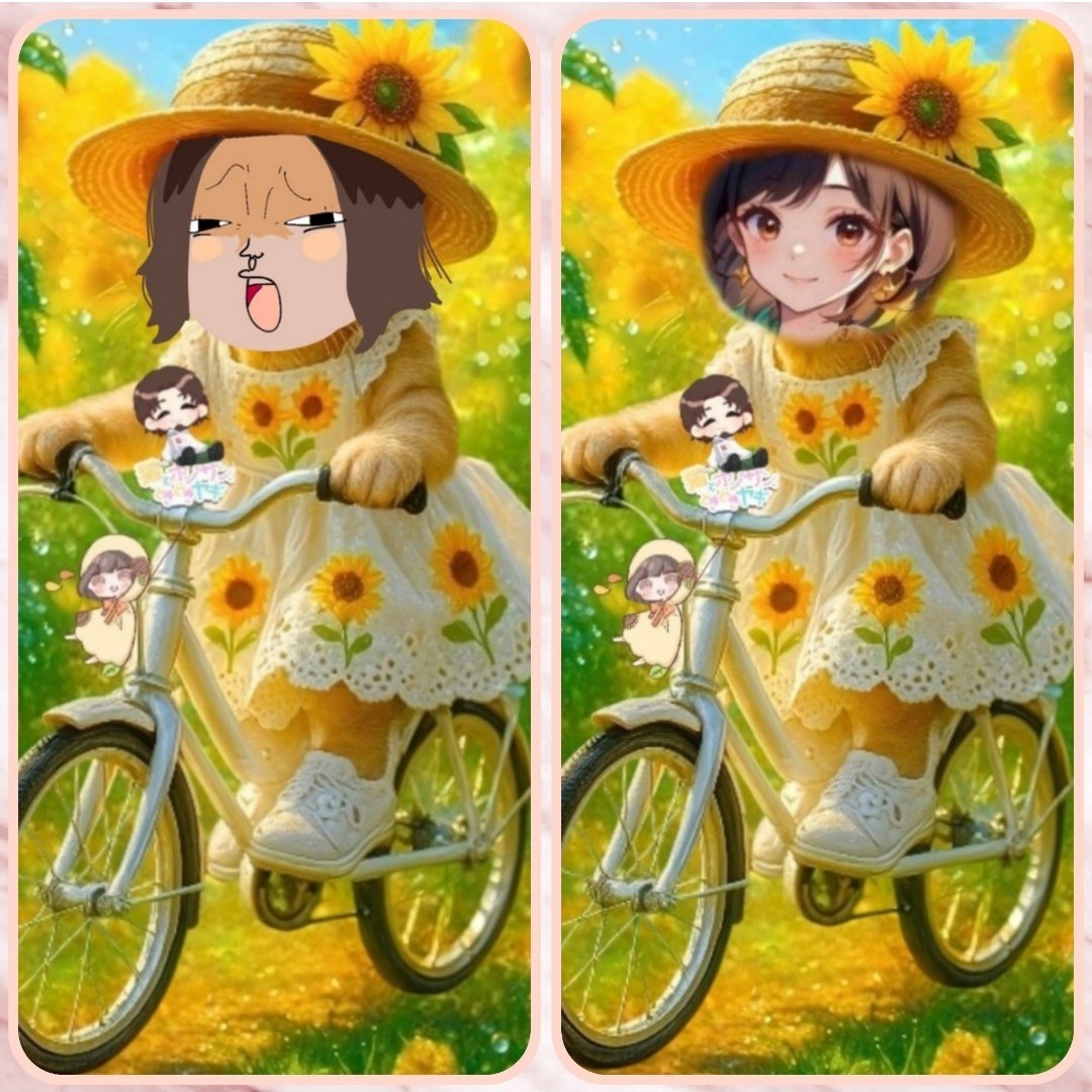 himawari♋️ꉂ𝕭̆̈❦🍏