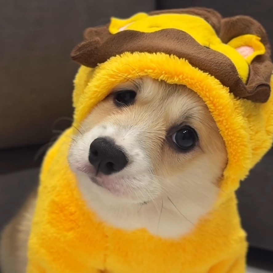 ë༒ꪔ 8 7 ꪔ༒ᨡ