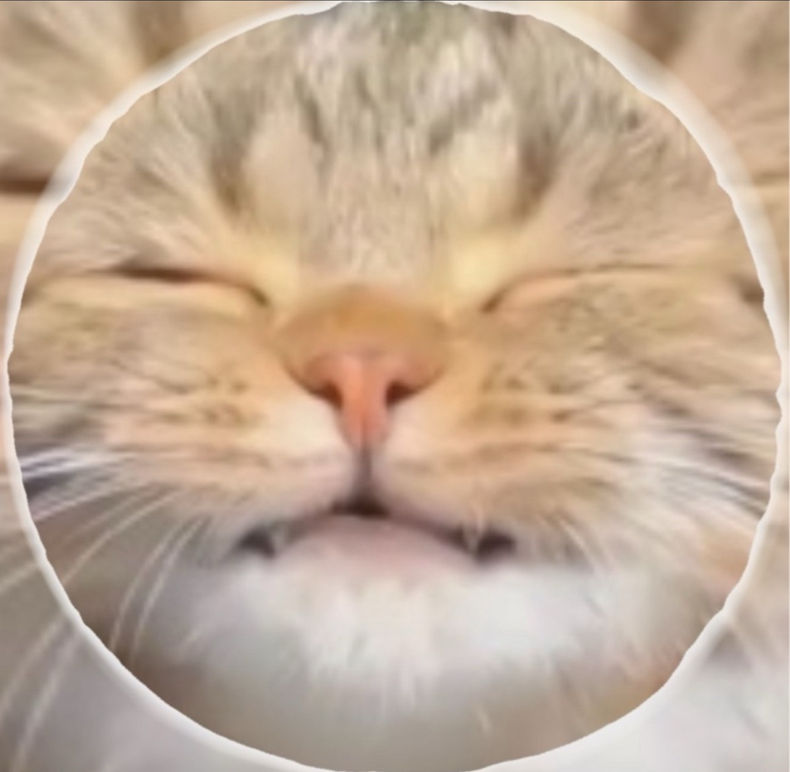 碧@うがぁㅤㅤㅤㅤㅤㅤㅤㅤㅤㅤㅤㅤㅤ 。