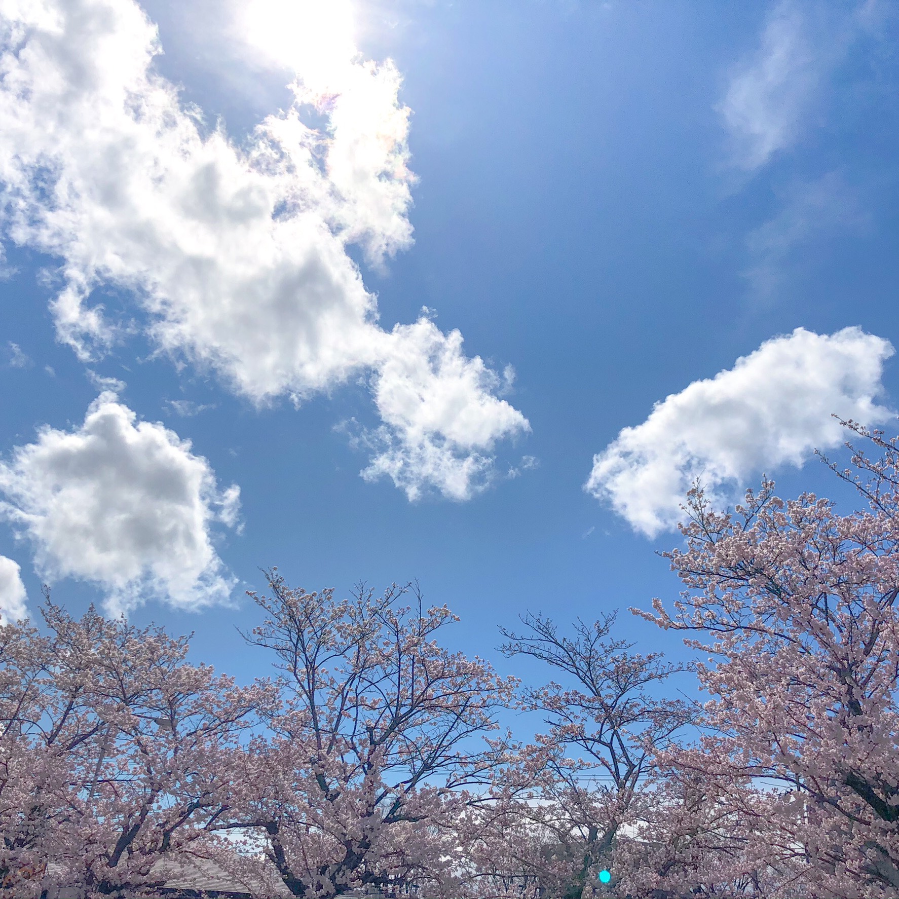 息抜き