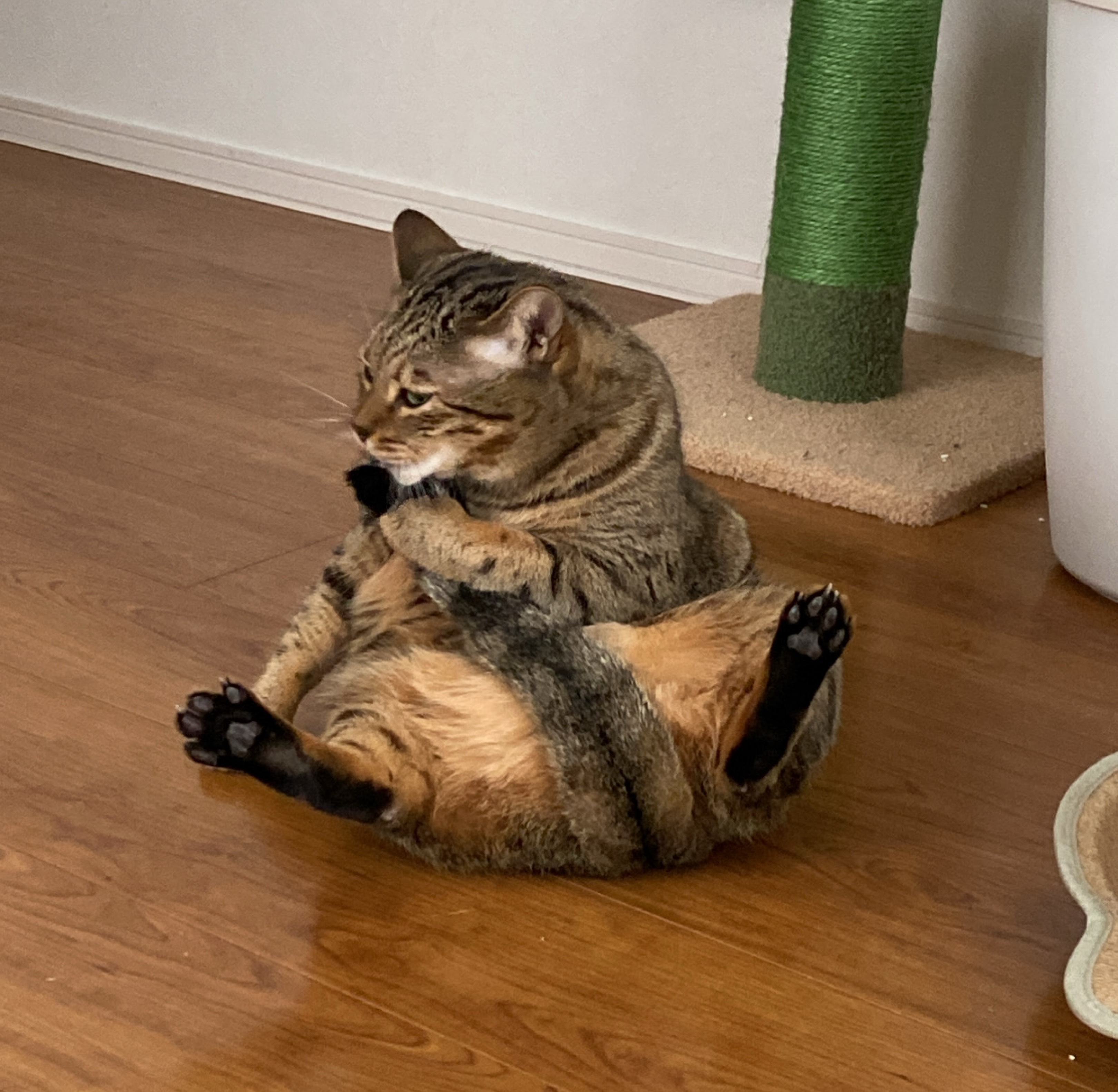 ðšâ² ð²ð°ð©ðšðµðš