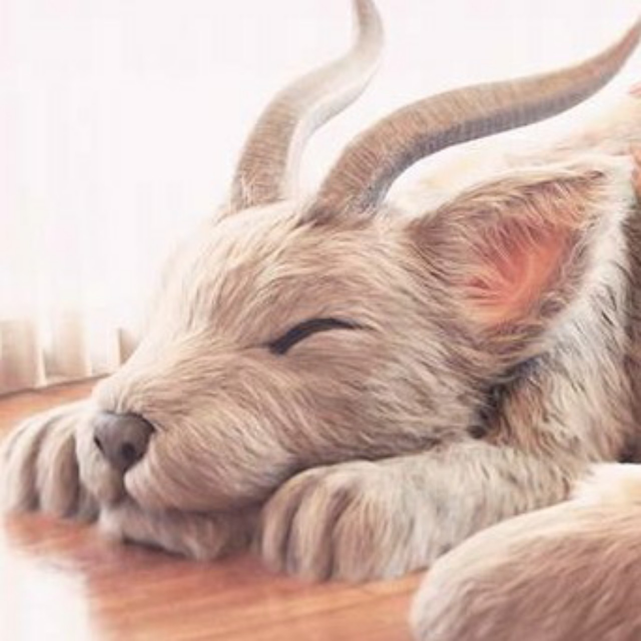 しばざき けいすけ🐺