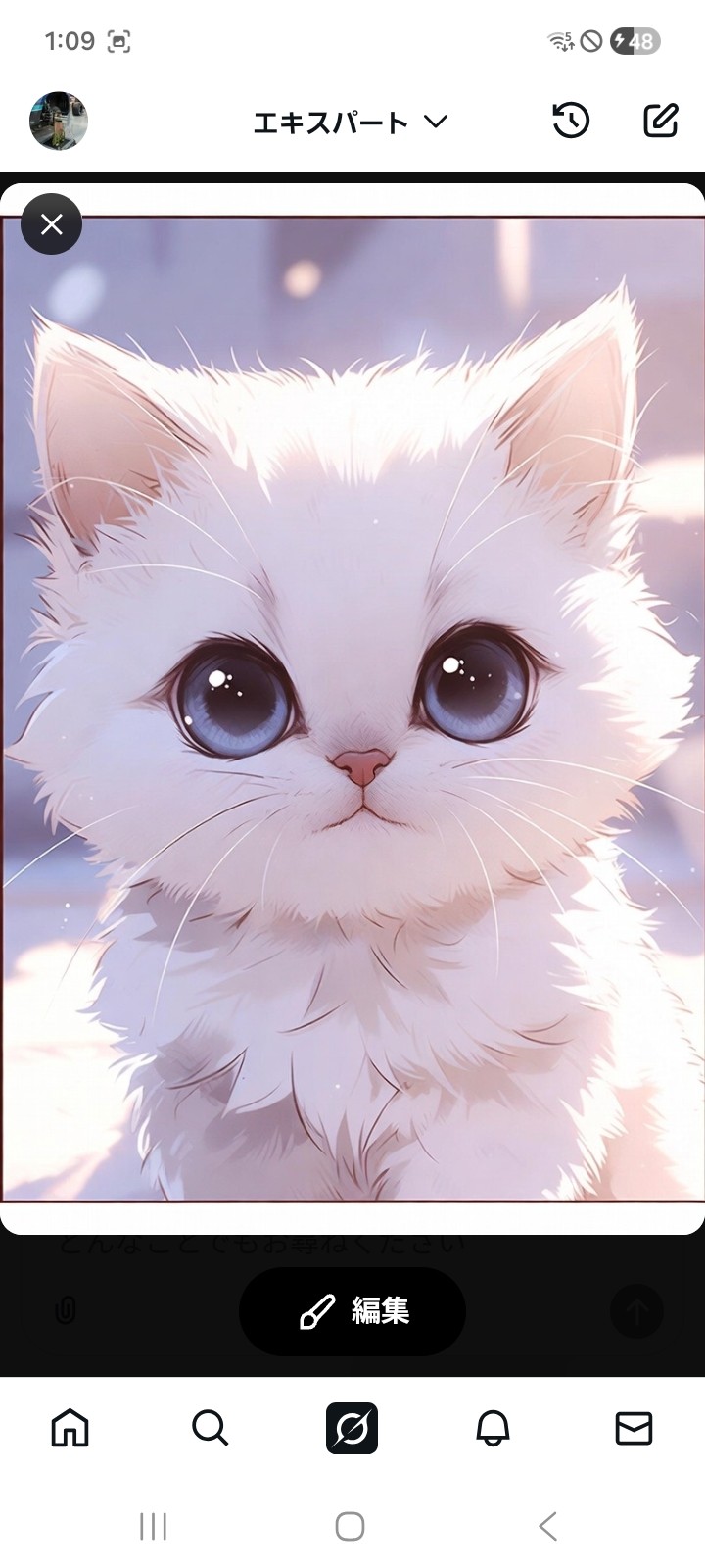 ★かみくん☆彡✯⁴