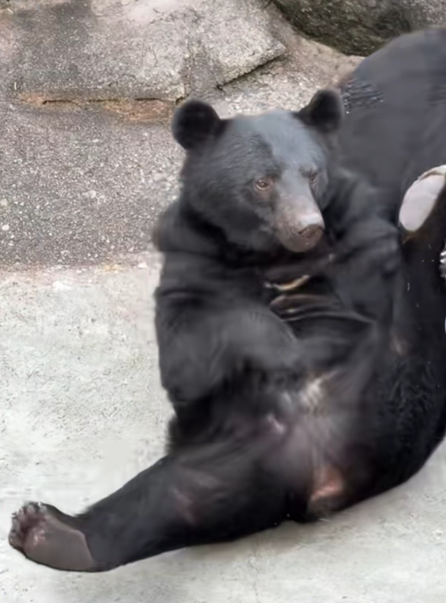 𓂺ぺぺ@ターボババア🐳