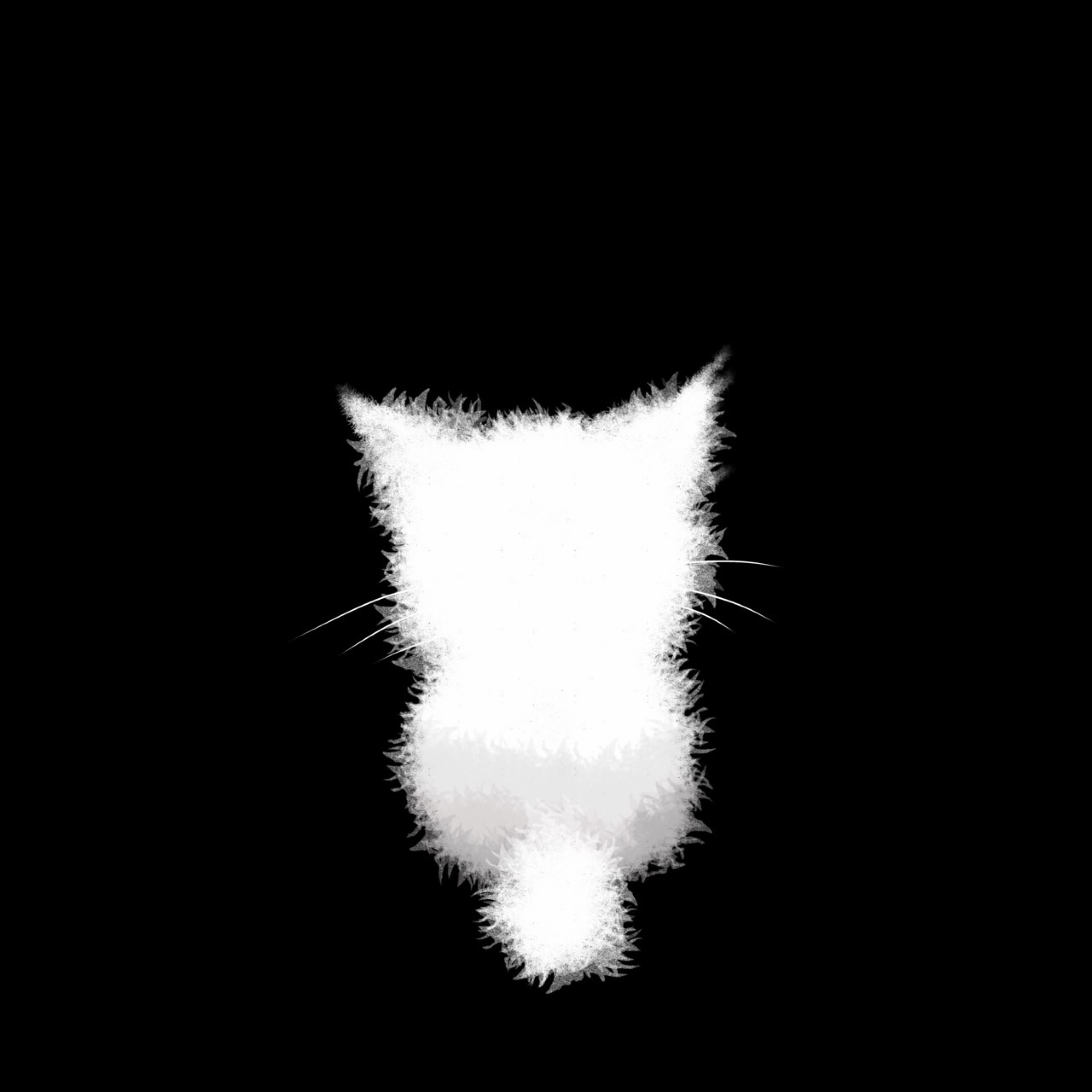 らけ【‪🐹🐱】