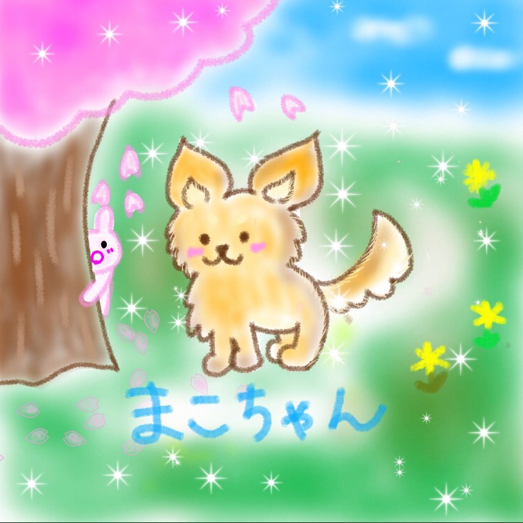 🐶まこちゃん𖤥𖤘⋆*