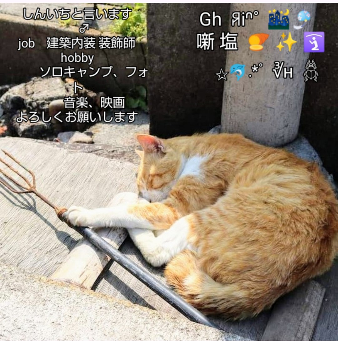 ♆𓃠Sinich/Gh🍠✨