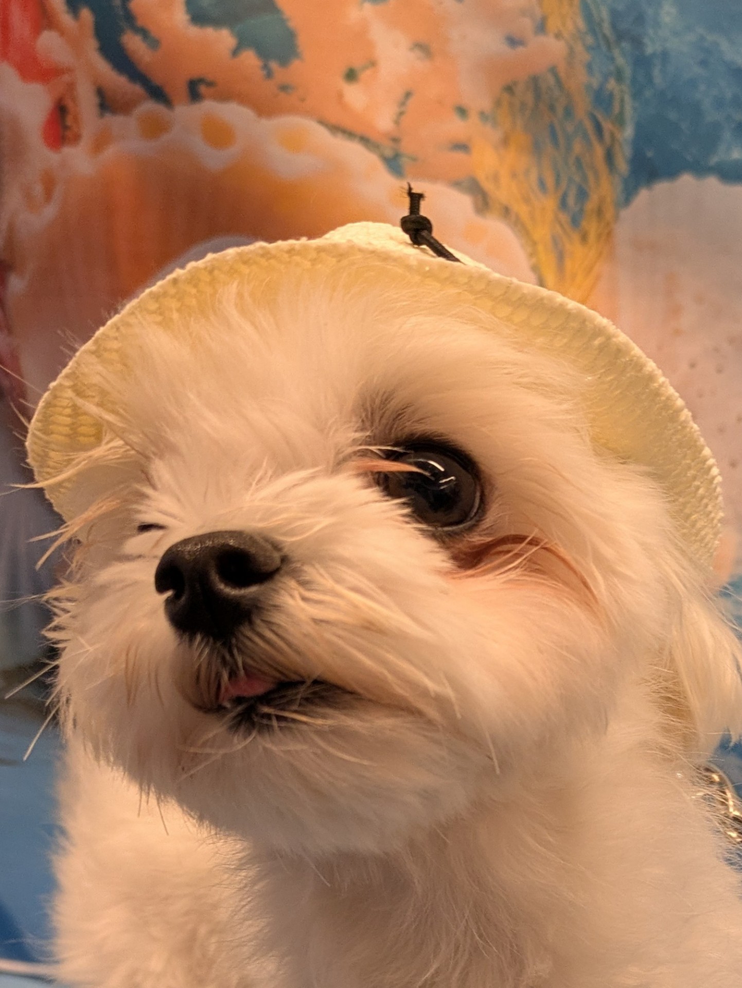 ミラクルりえぽん