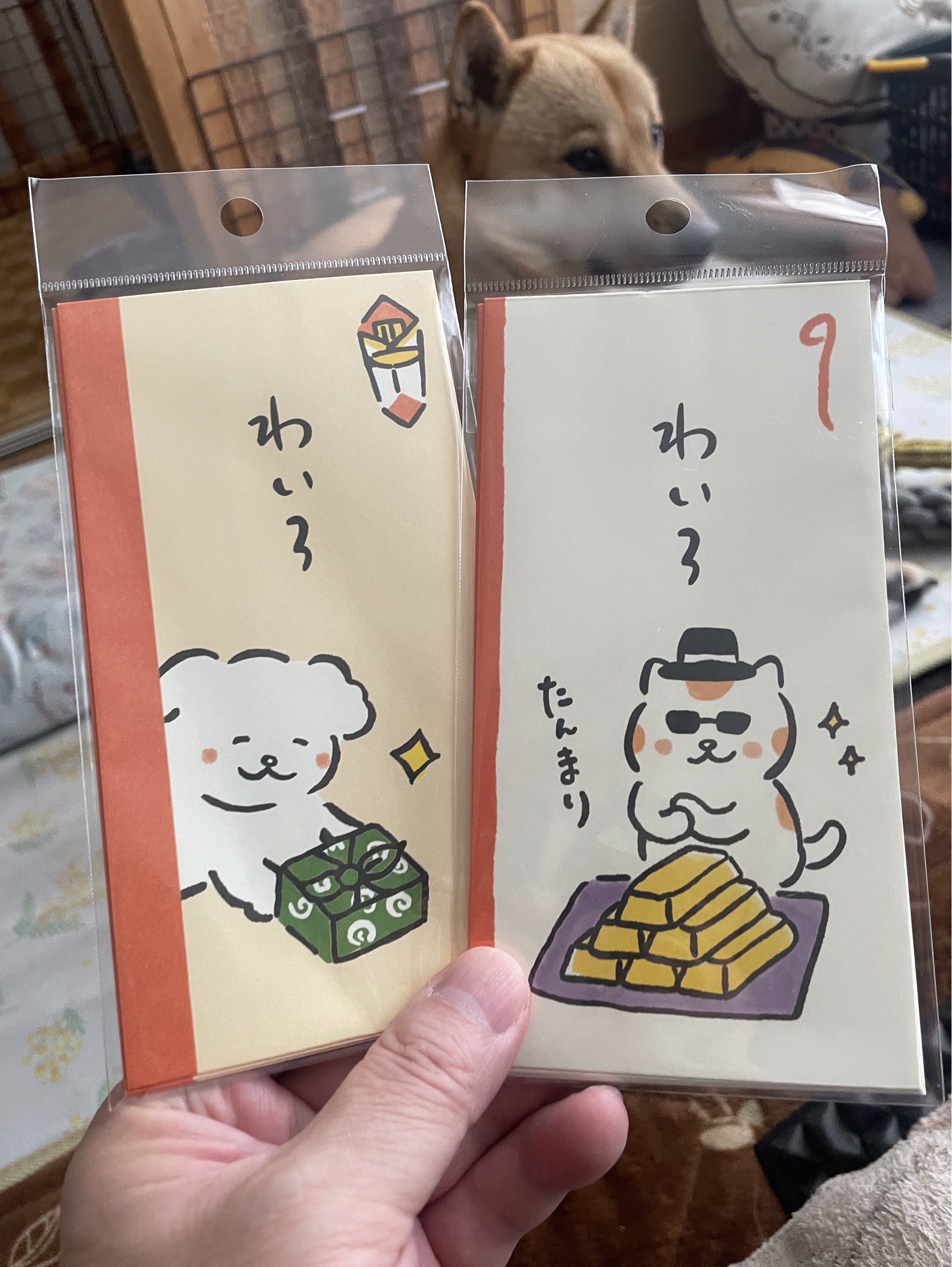 🎨すたろー@豊仙®【♯1111】酒⃝