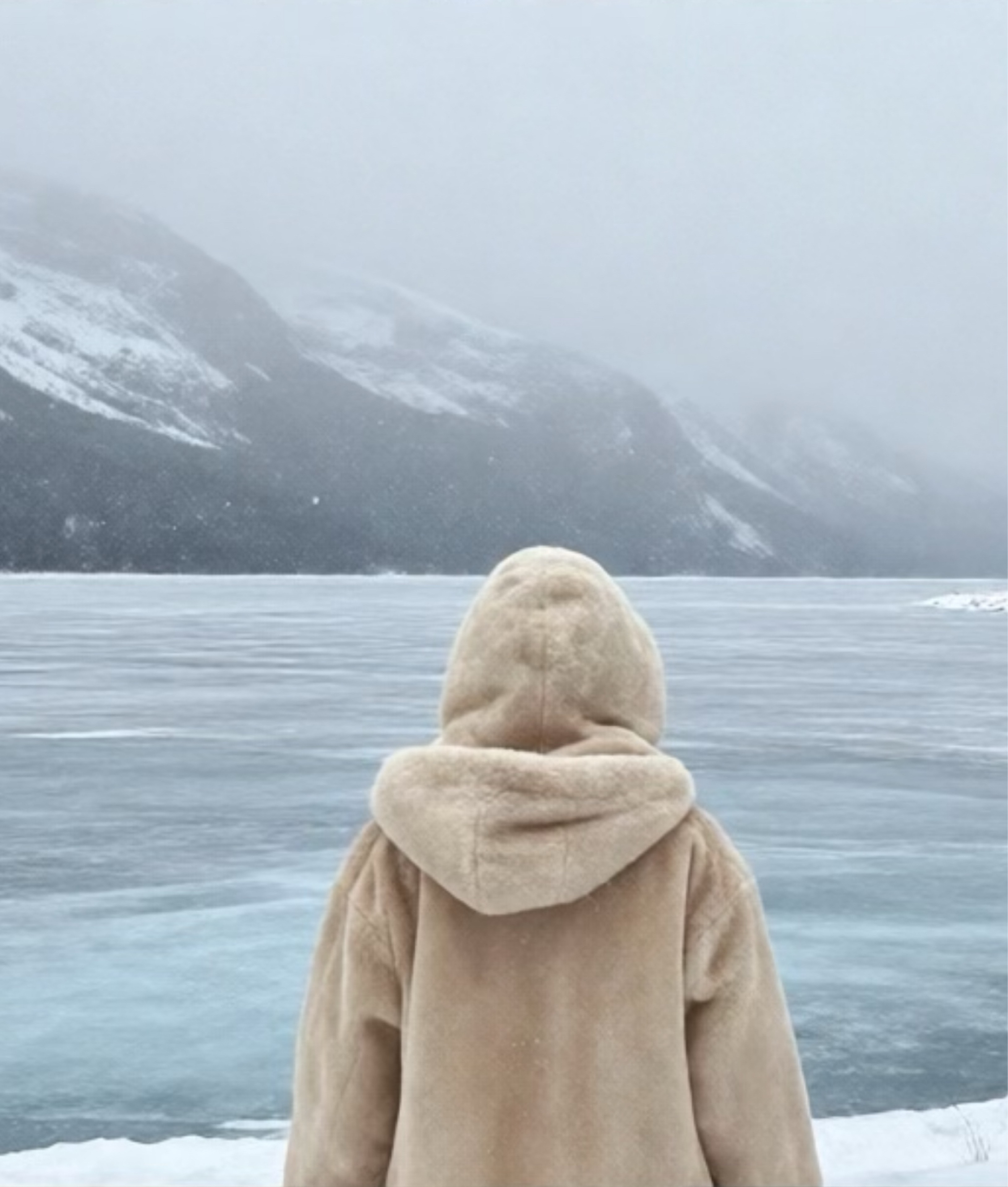 ︎ ︎ ︎ ︎ ︎ ︎ ︎ ︎ ︎ ︎