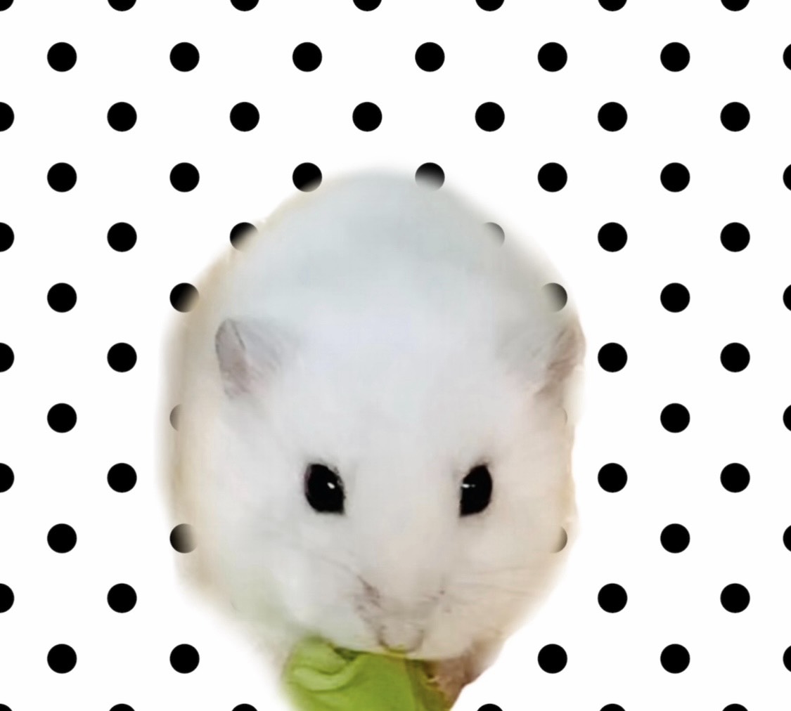 志音♂