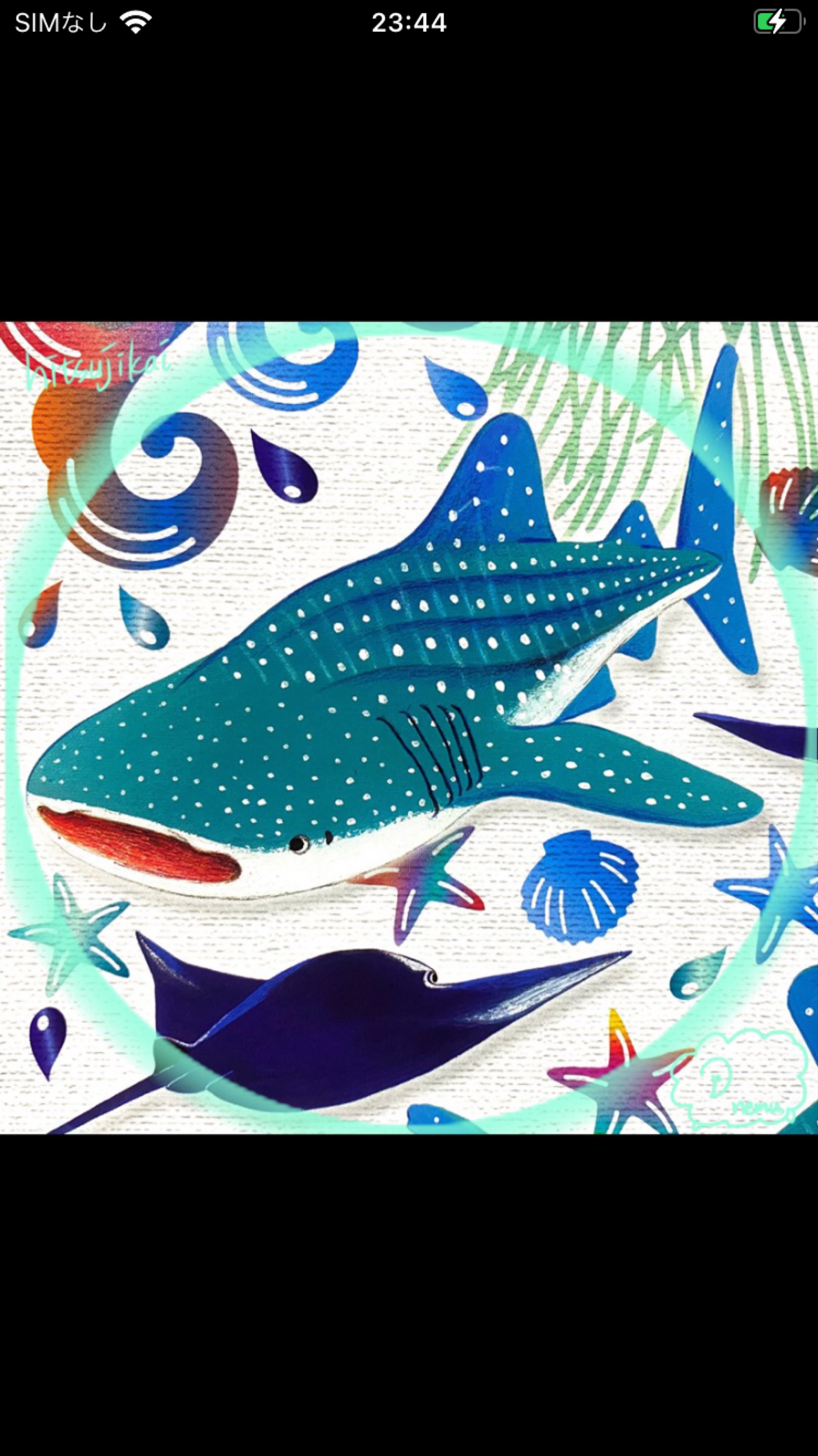 アキラ🐳🐑 ℭ ฅ"