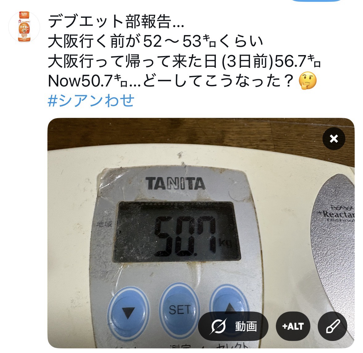 𓆩❀̥𓆪シアン枠デブエット部報告🐬