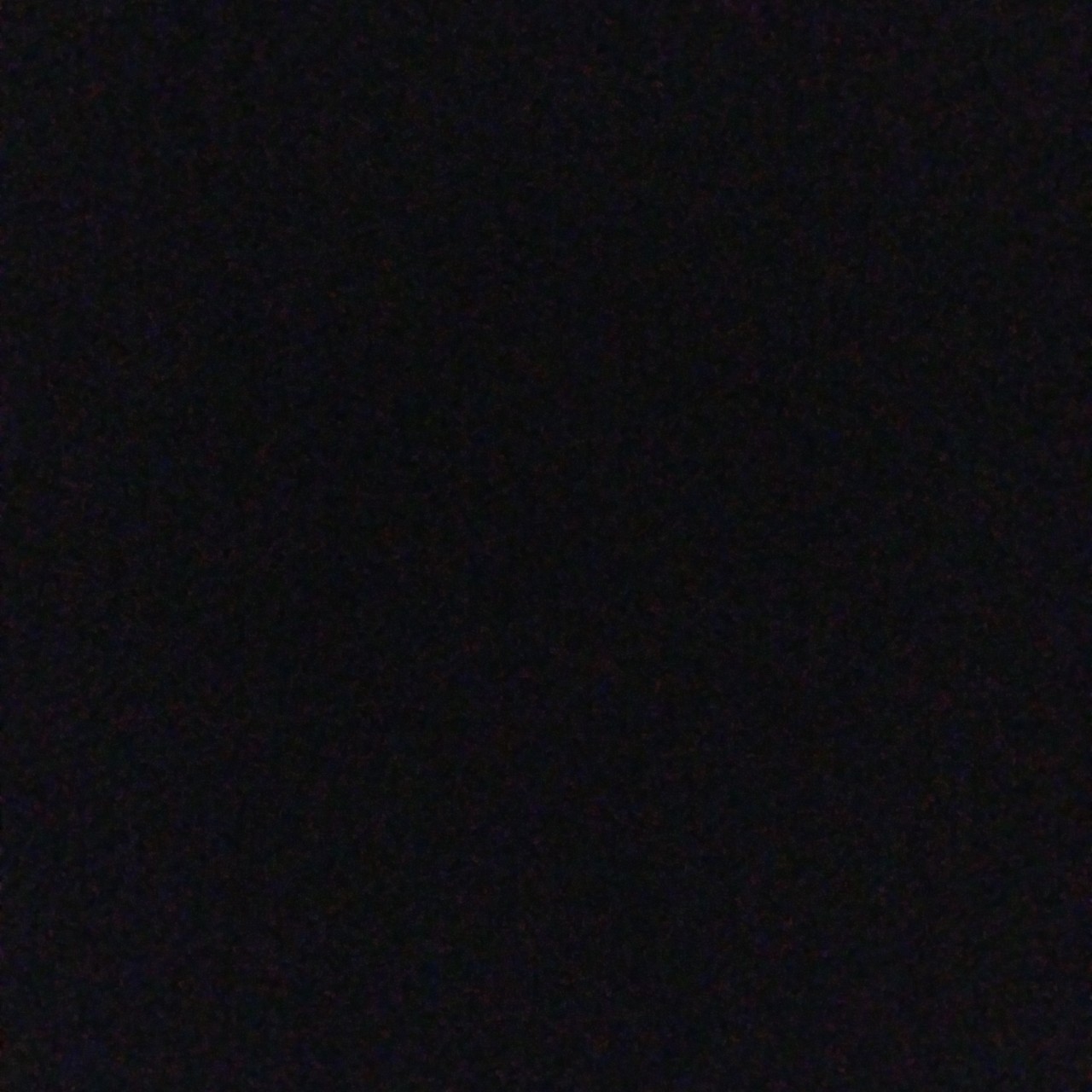 ＿＿＿＿