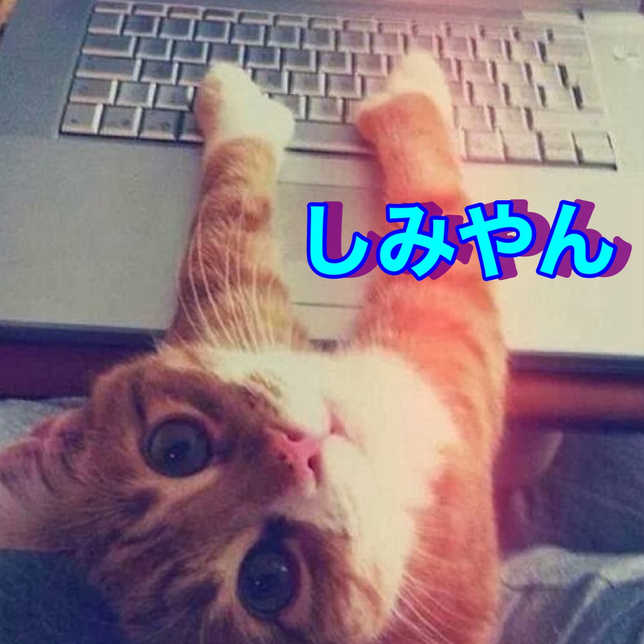 🦉しみやん(*θⅴθ)🦉