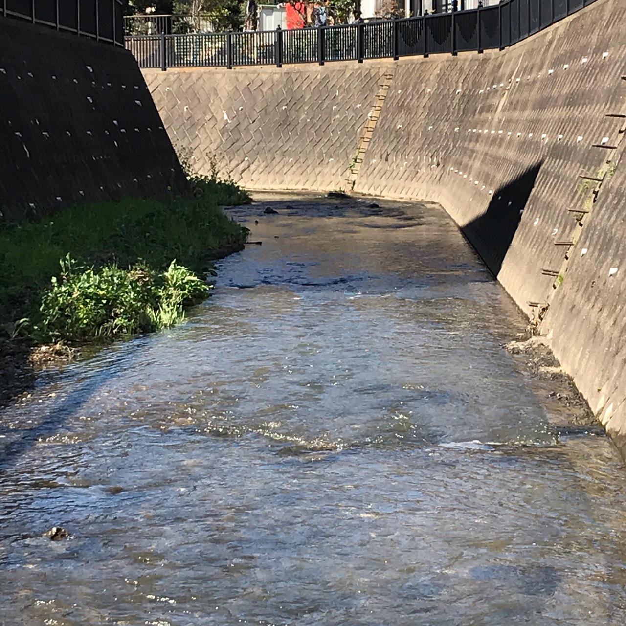 すくらいと、それは男