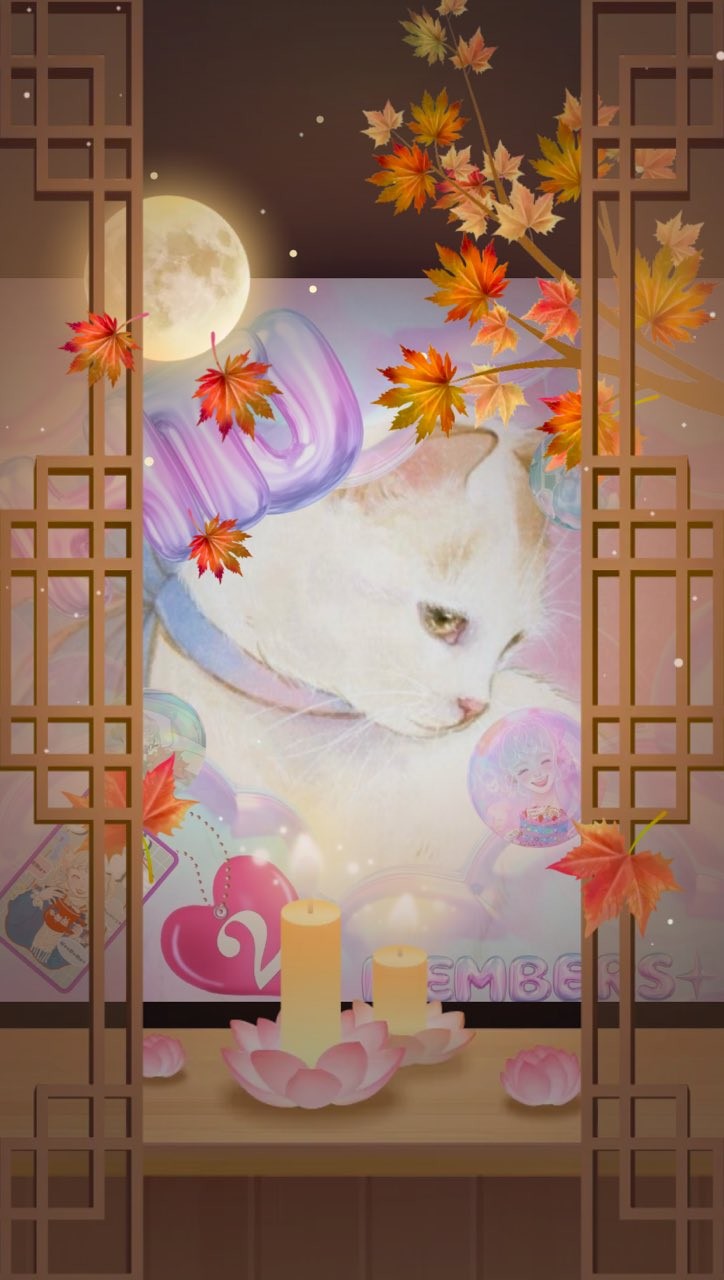 𓇣 𓃠𝑒𝑠𝑢𓃿‎🫧