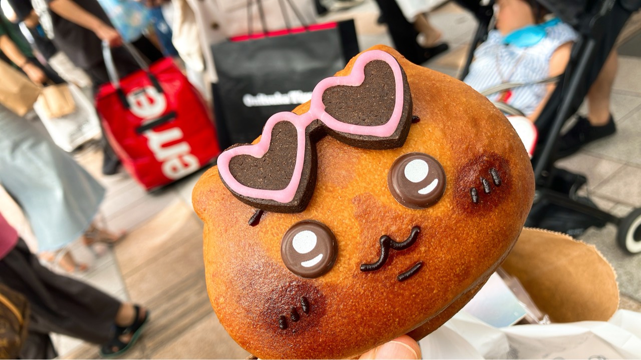 どと🧸🐾