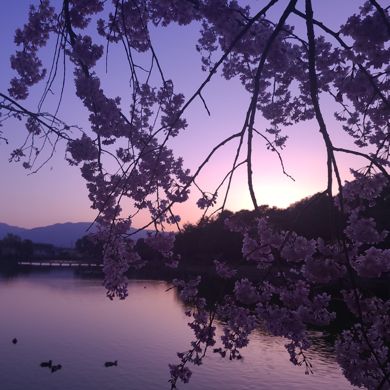 Ken(๑•̀ω•́ฅ)