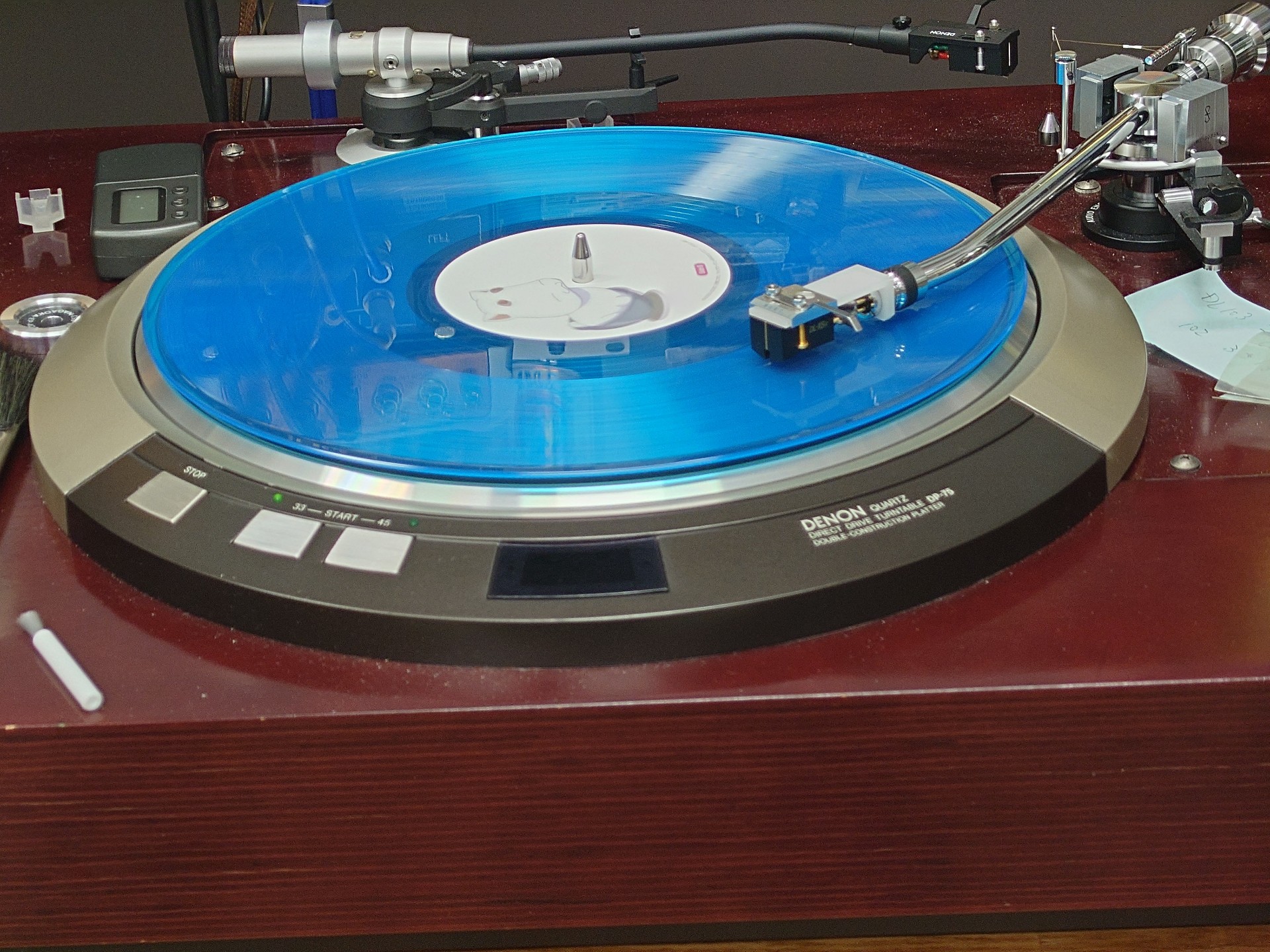 初見ちゅ/はるぷ@ミミッキュ扱いの女