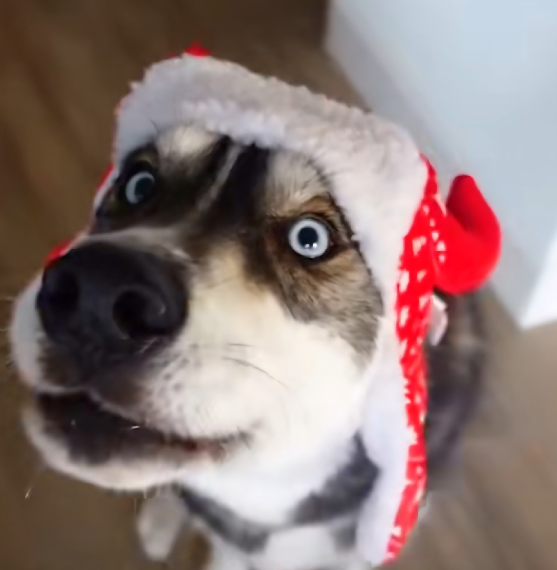 ë༒ꪔ 8 7 ꪔ༒ᨡ