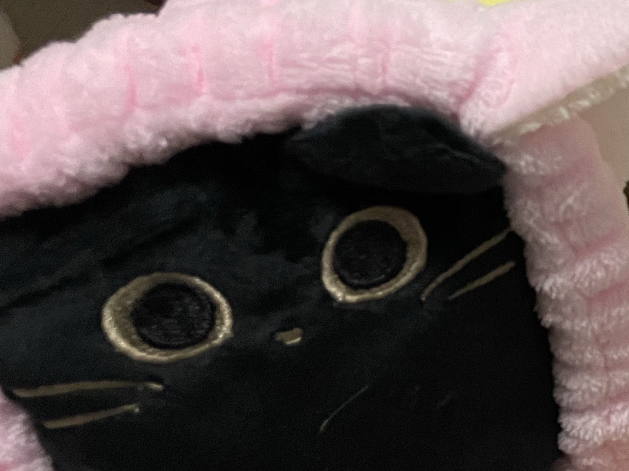 Spica❁⃘*.ﾟ🍉にゃーどる