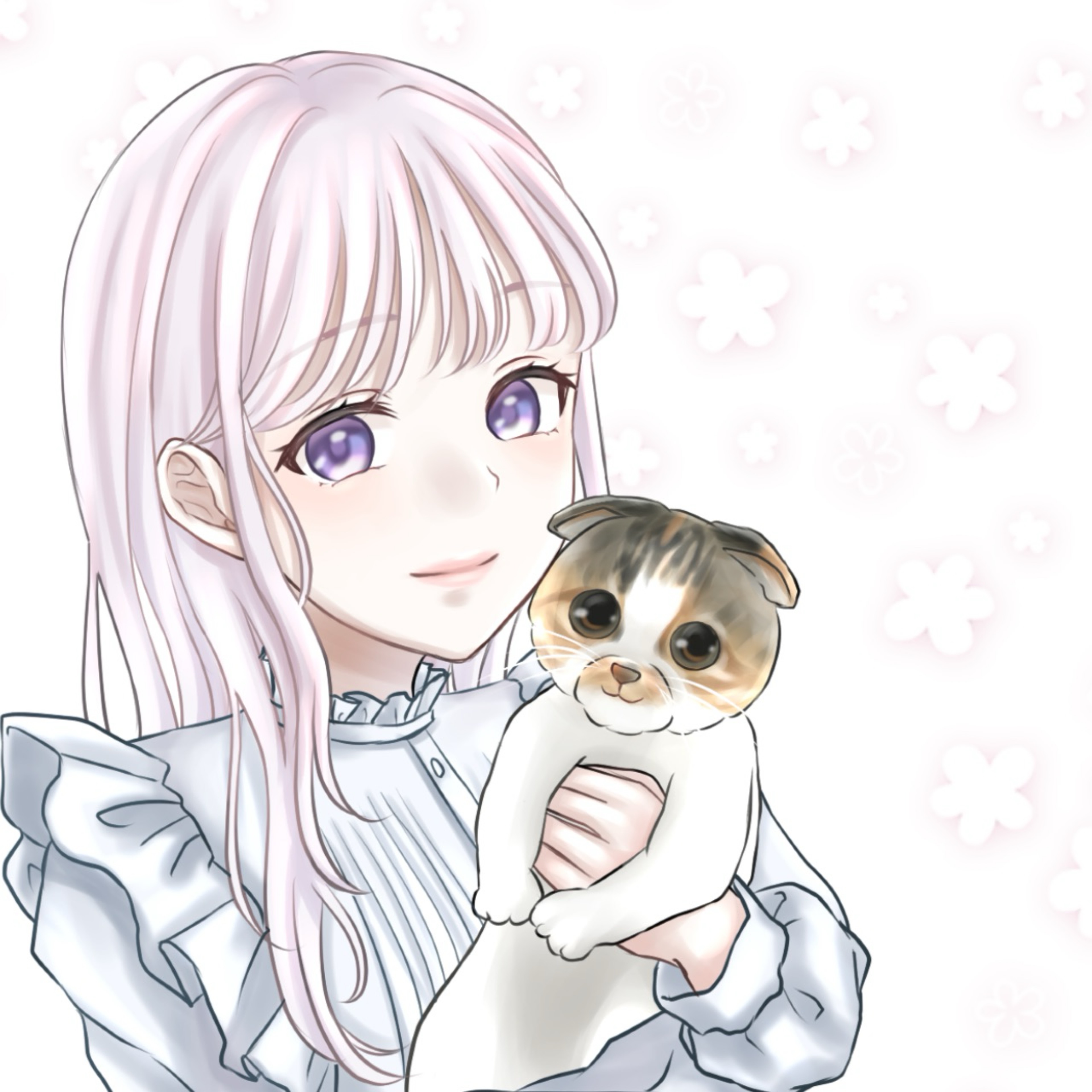 ✾⋆͛ ぽん