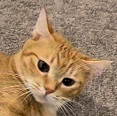 ましろさあああん