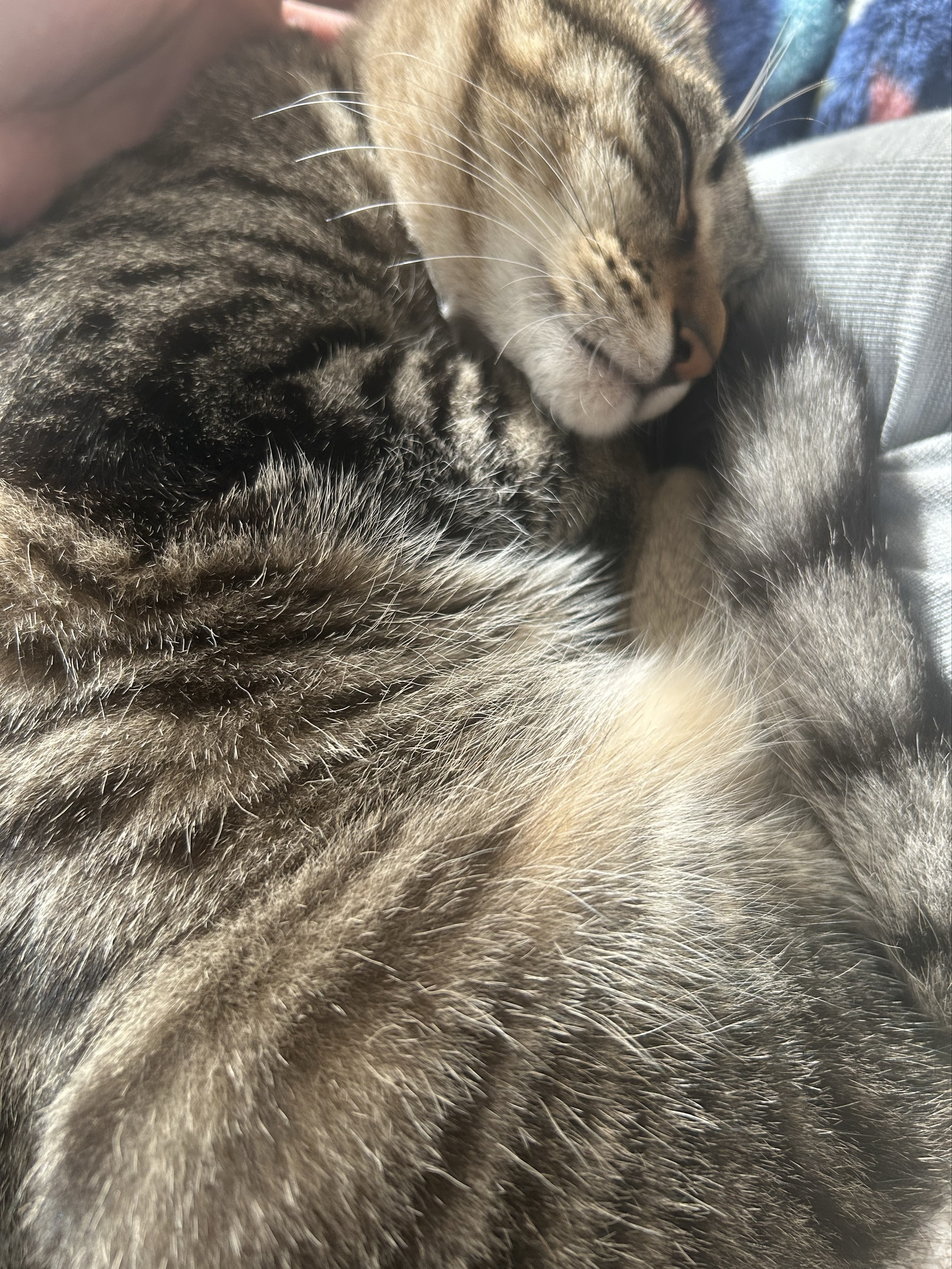 まいちʕ·ᴥ·ʔ☪