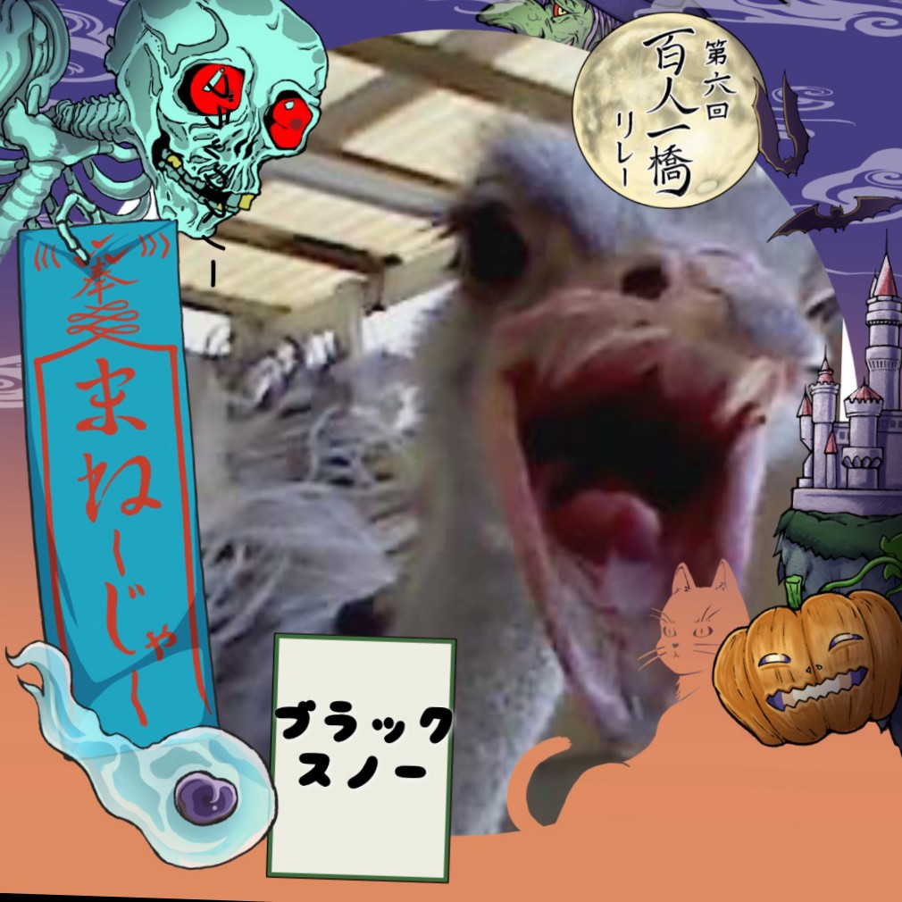 🖤⛄ブラックスノー💫✨