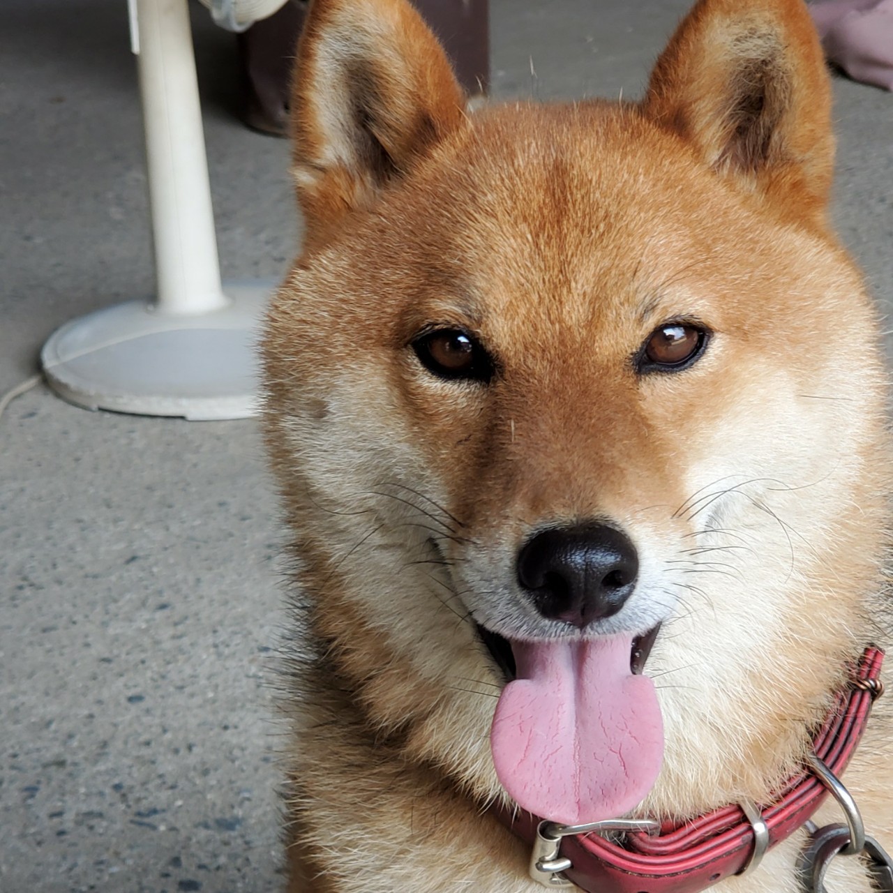 にっし〜🧸❄ R.🐹