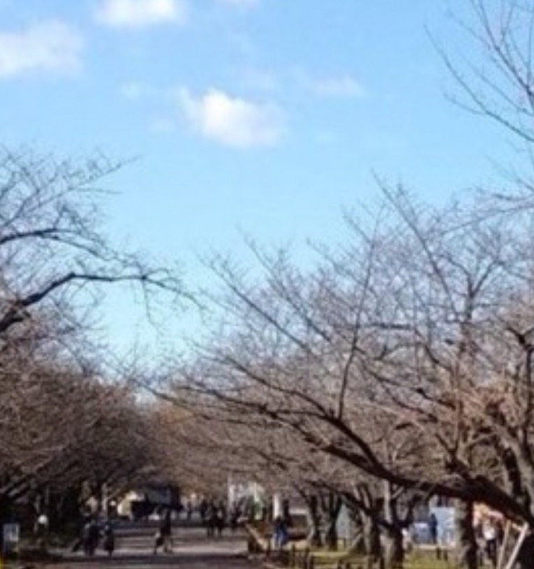 夢旅人(たびとん)