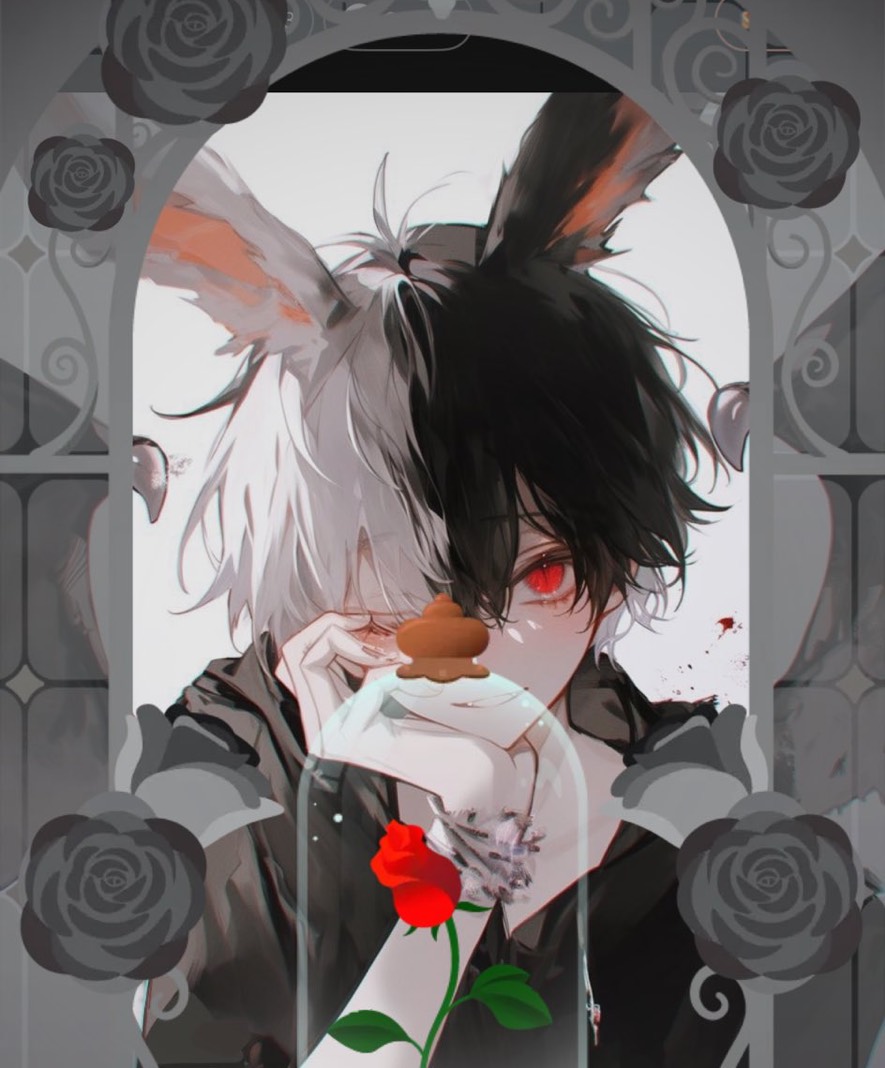 @ ꪔ͈̮ 兎 ｸﾝ .ᐟ