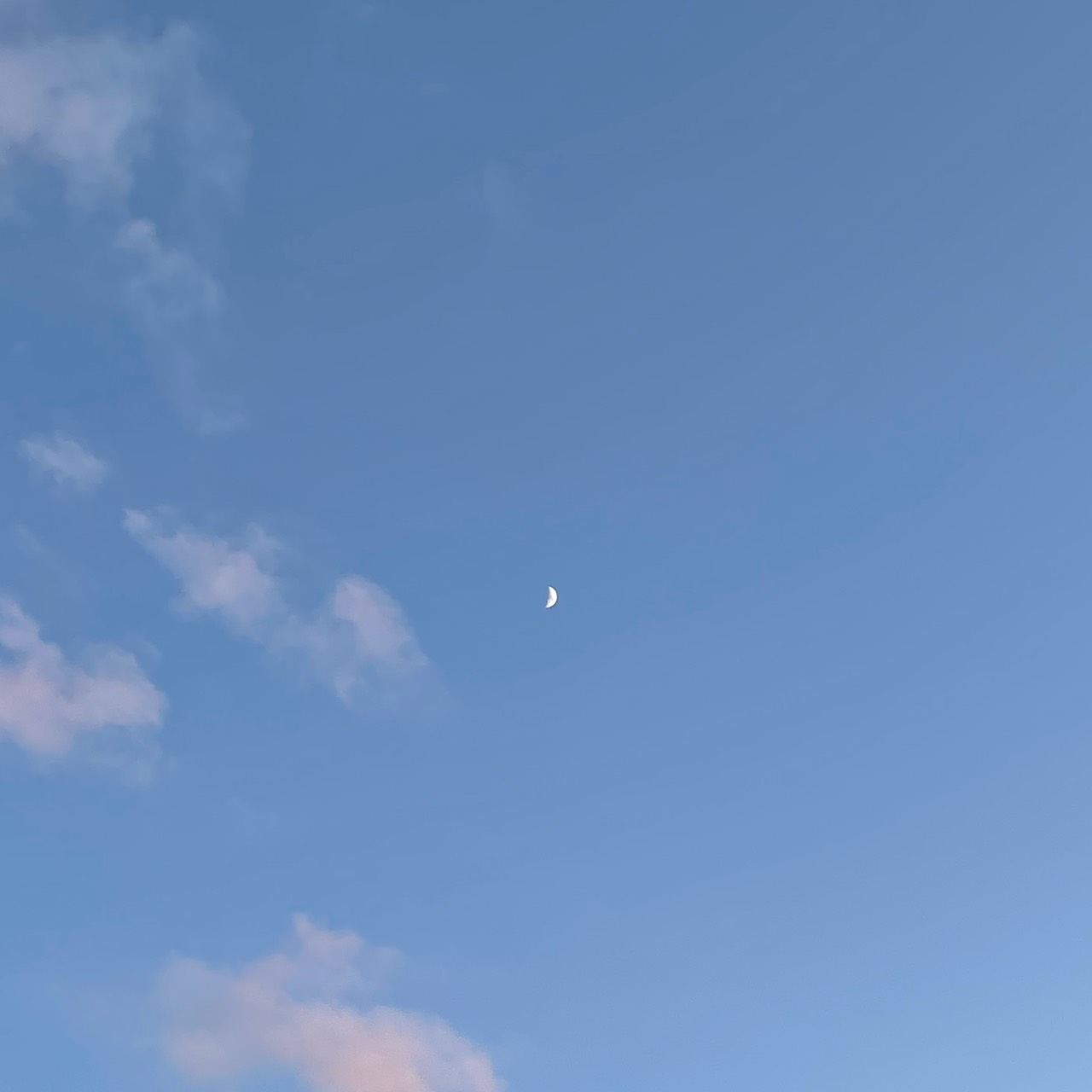☪︎ᶻRia