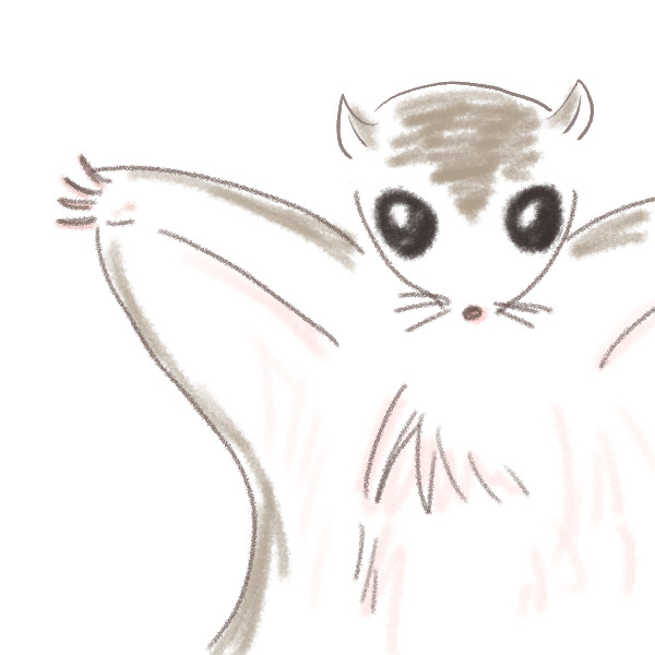 ももんがももーん