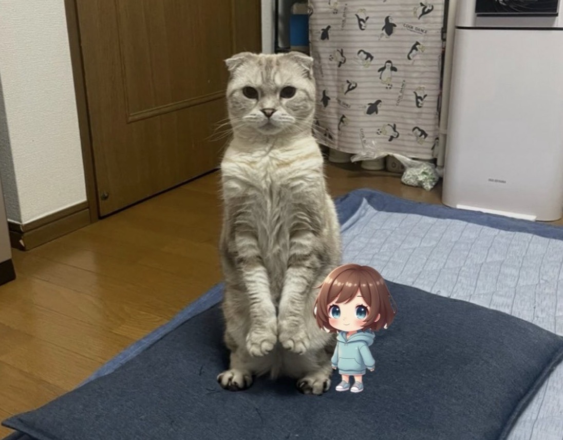 あっくんℳ꙳⟡