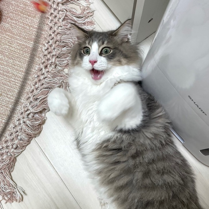 メディアクリエイターのつぶやき