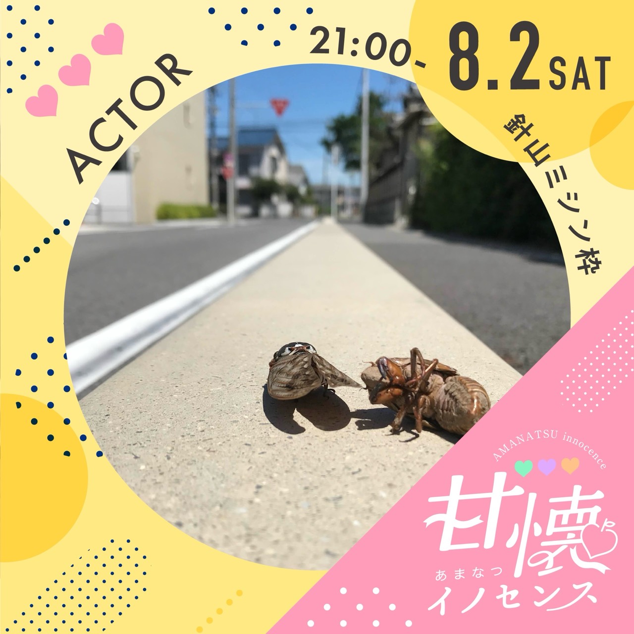 広報加藤