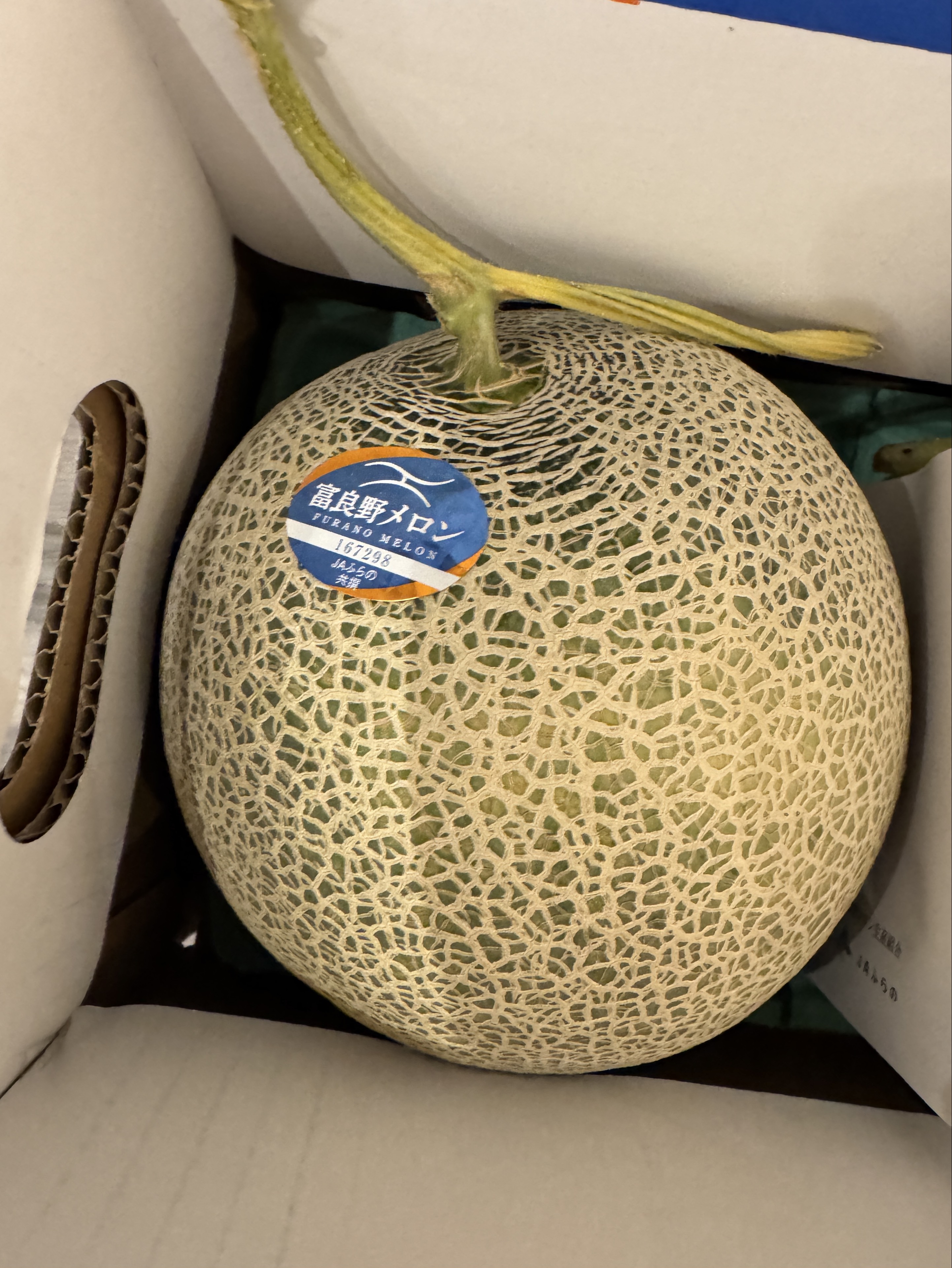 かけ違えたボタン。