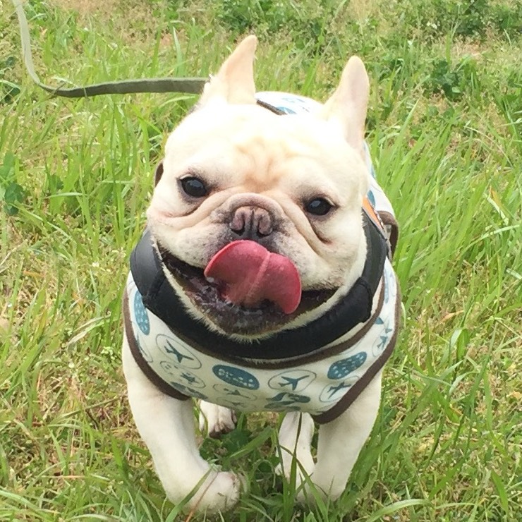 で͓̽で͓̽さん@潜り上手