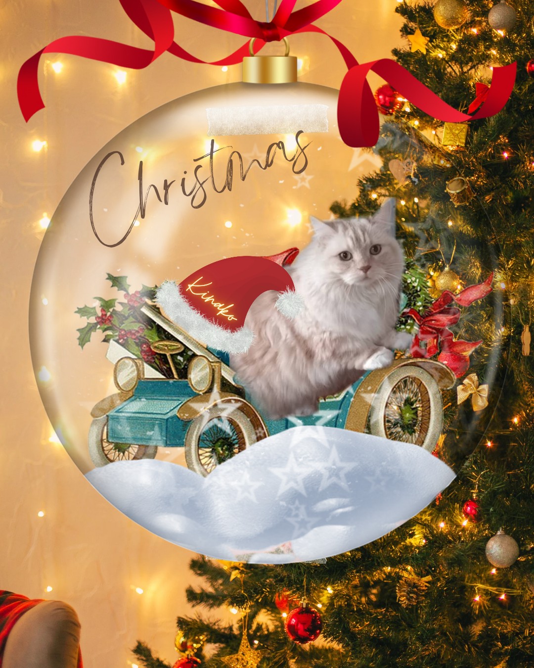 🫧𝓚☘︎︎きなこᵏⁱⁿᵃᵏᵒ⁎✧⡱