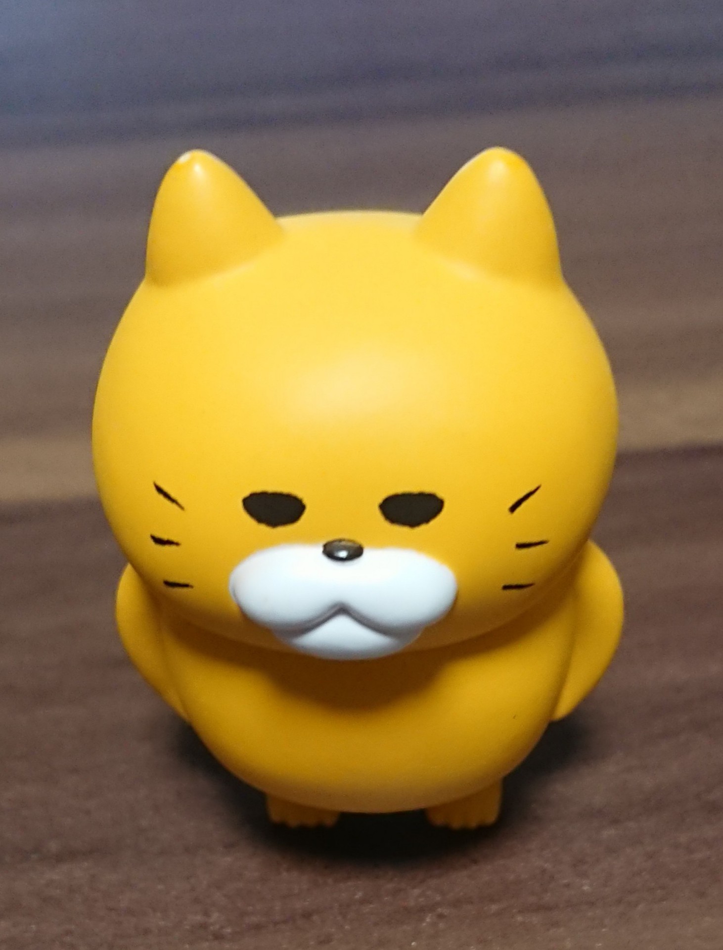 🙋もぐりんと .𝄪🐣🌼🐟゜