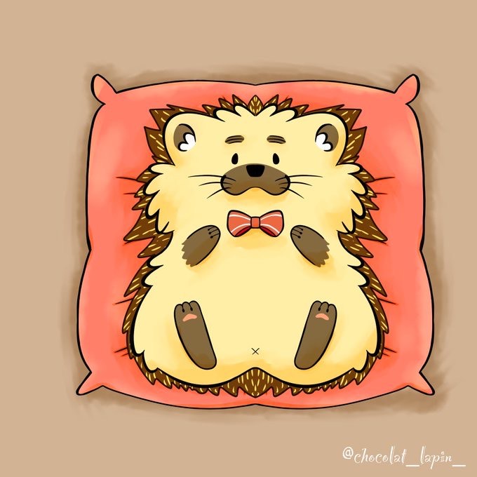 🦔おがちゃん🚤🛳☀️