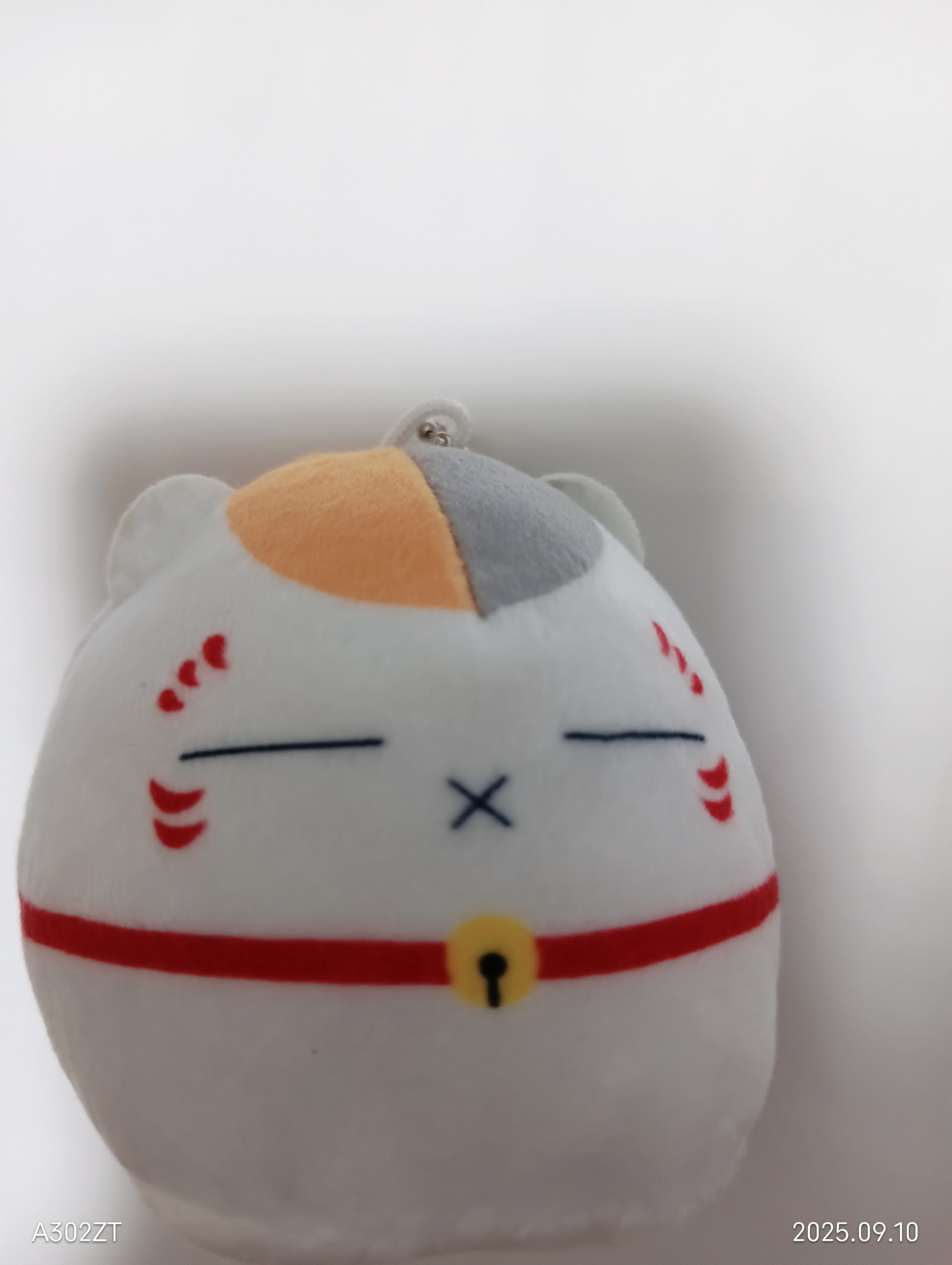 🐈໒꒱だりあまる